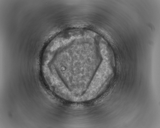 X0000112030354200908311220