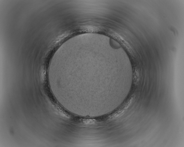 X0000112030355200908311220