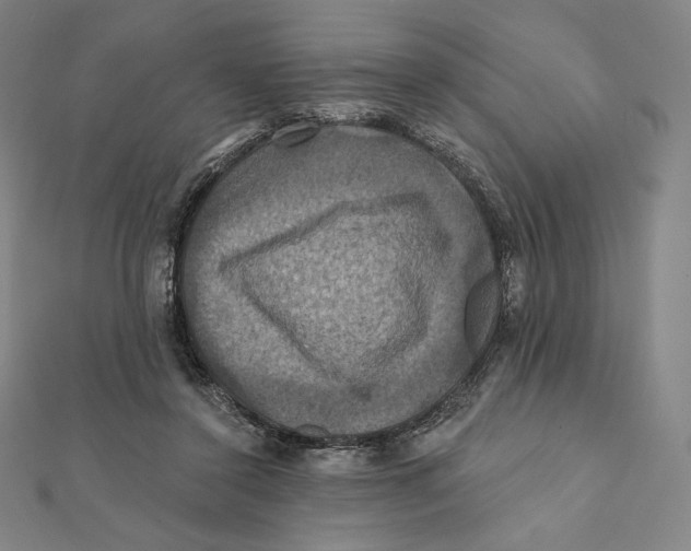 X0000112030356200908311220