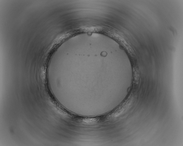 X0000112030357200908311220