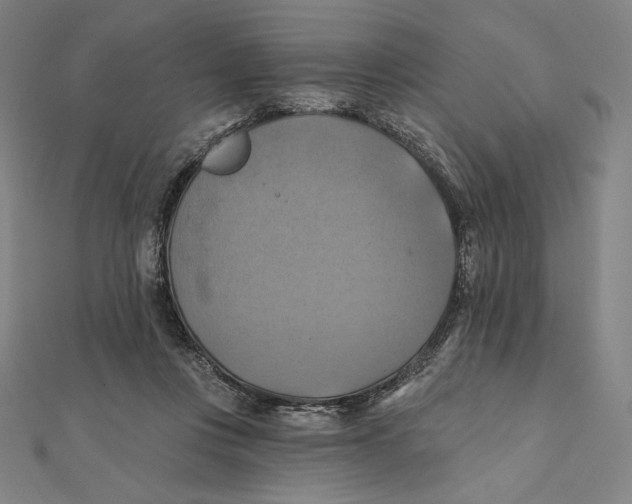 X0000112030359200908311220
