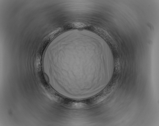 X0000112030360200908311220