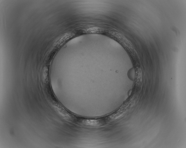 X0000112030361200908311220