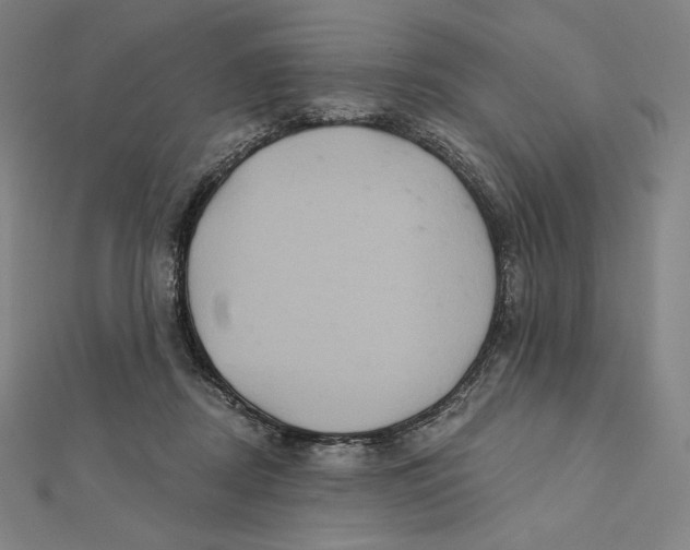 X0000112030362200908311220
