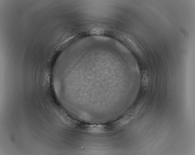 X0000112030363200908311220