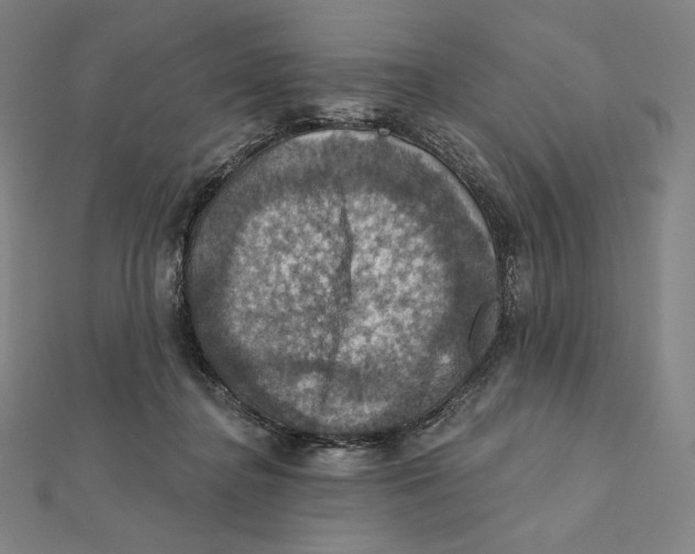 X0000112030364200908311220