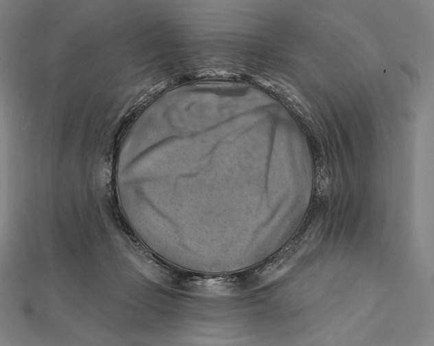X0000112030365200908311220