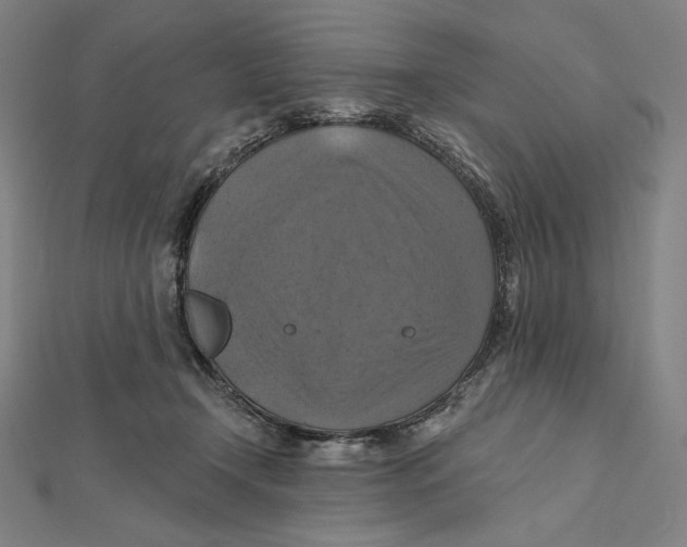 X0000112030366200908311220