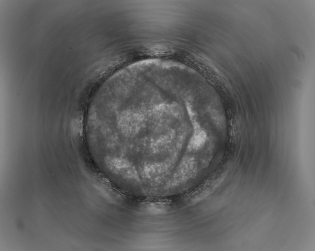 X0000112030368200908311220