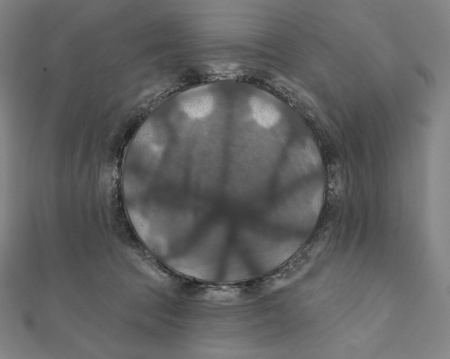 X0000112030369200908311220