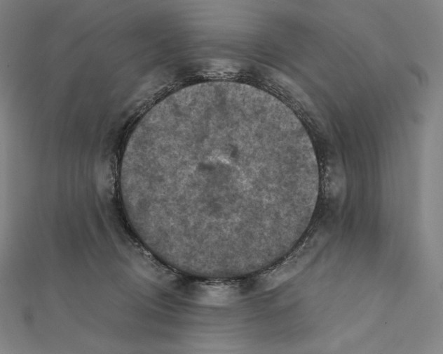 X0000112030370200908311220