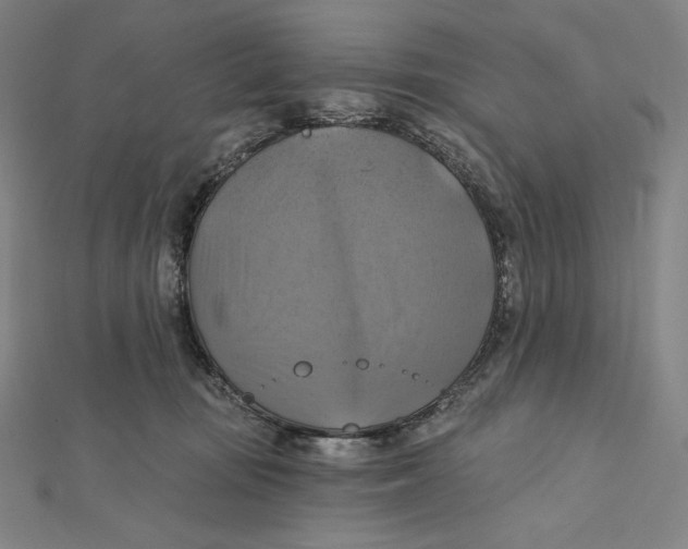 X0000112030371200908311220