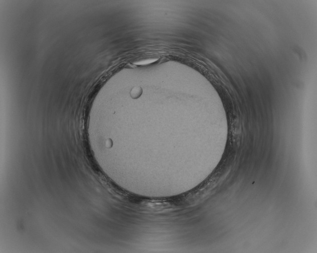 X0000112030372200908311220