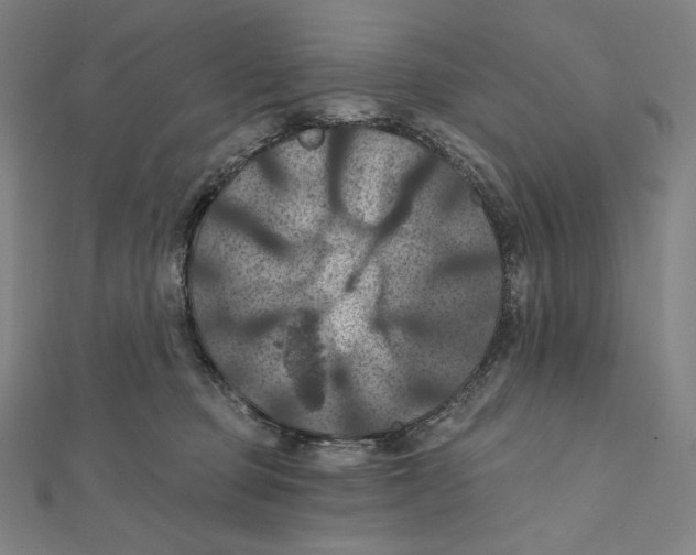 X0000112030373200908311220
