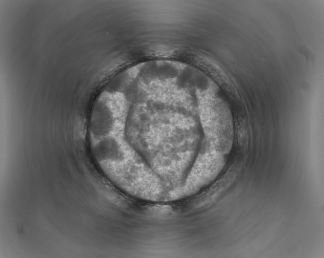 X0000112030374200908311220