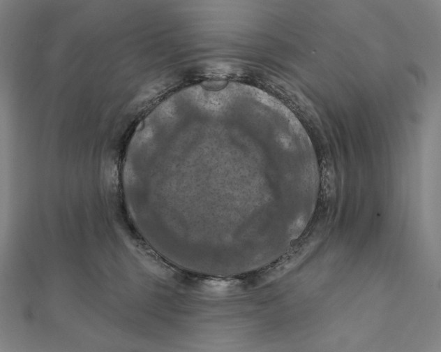 X0000112030375200908311220