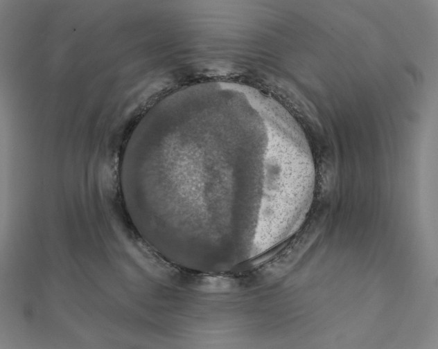 X0000112030376200908311220