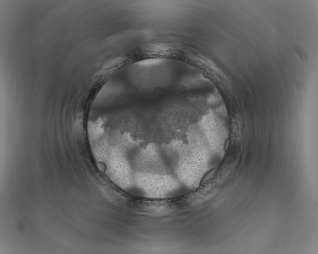 X0000112030377200908311220