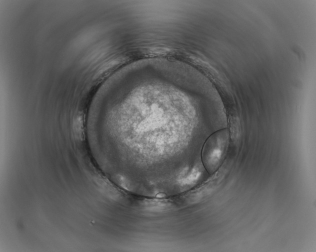X0000112030378200908311220