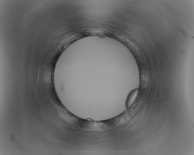 X0000112030379200908311220