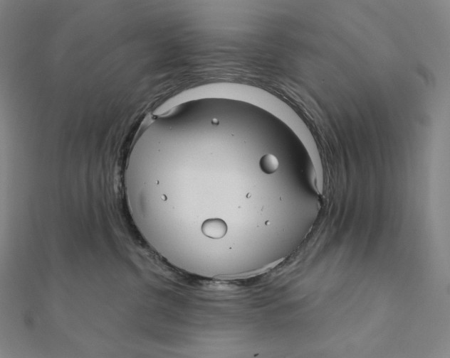 X0000112030380200908311220