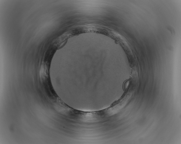 X0000112030382200908311220