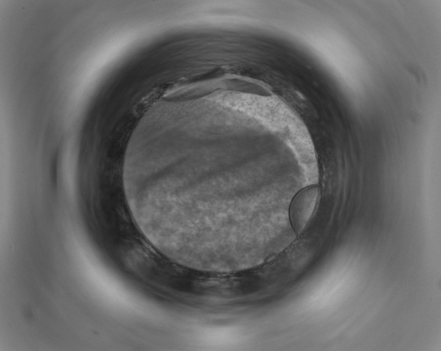 X0000112030383200908311220