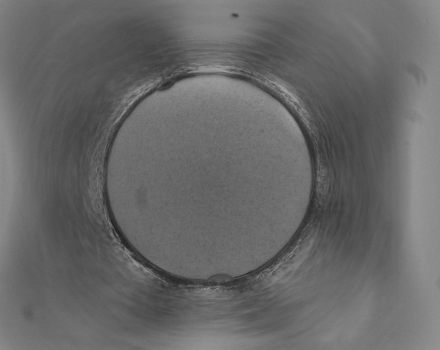 X0000112030385200908311220