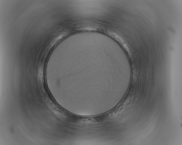 X0000112030386200908311220