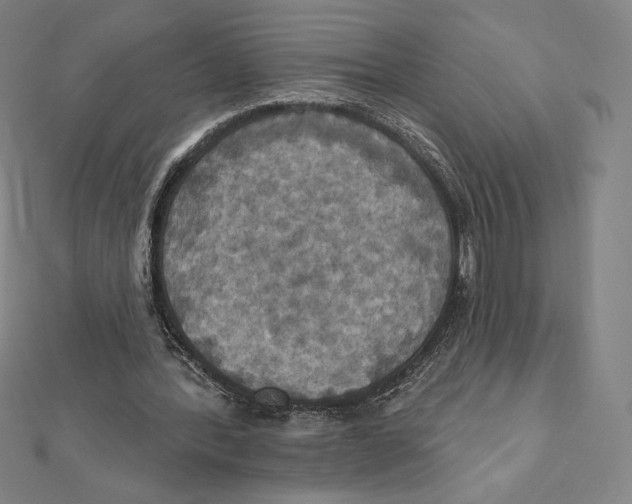 X0000112030388200908311220