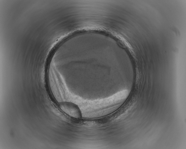 X0000112030391200908311220