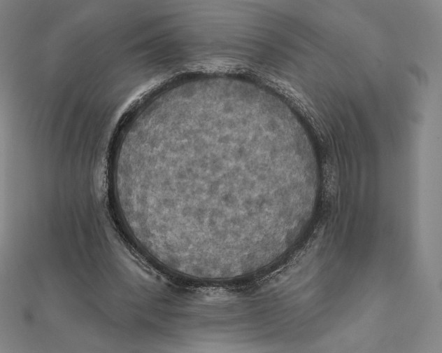 X0000112030392200908311220