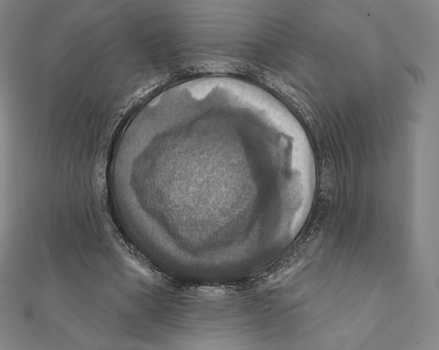 X0000112030394200908311220
