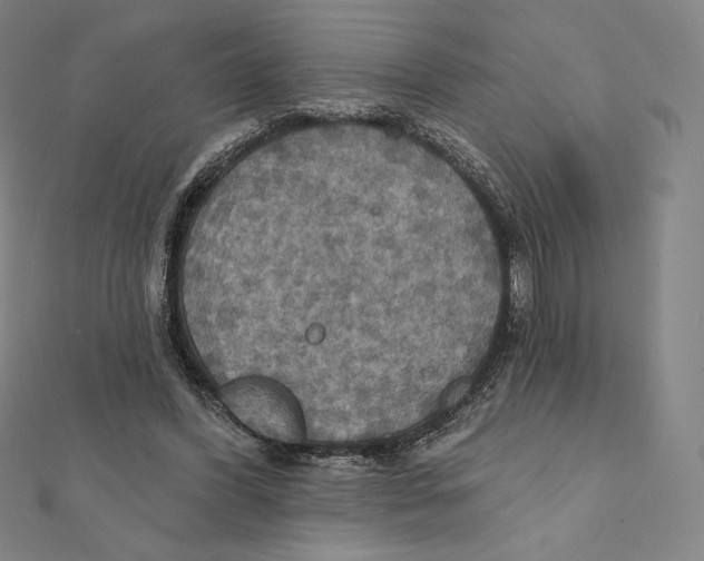 X0000112030396200908311220