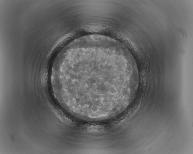 X0000112030400200908311220