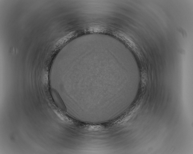 X0000112030401200908311220