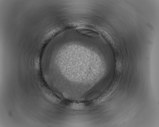 X0000112030403200908311220