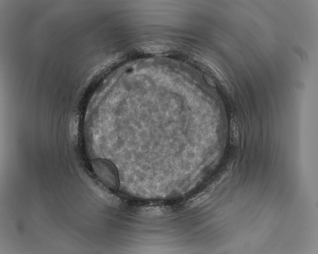 X0000112030404200908311220