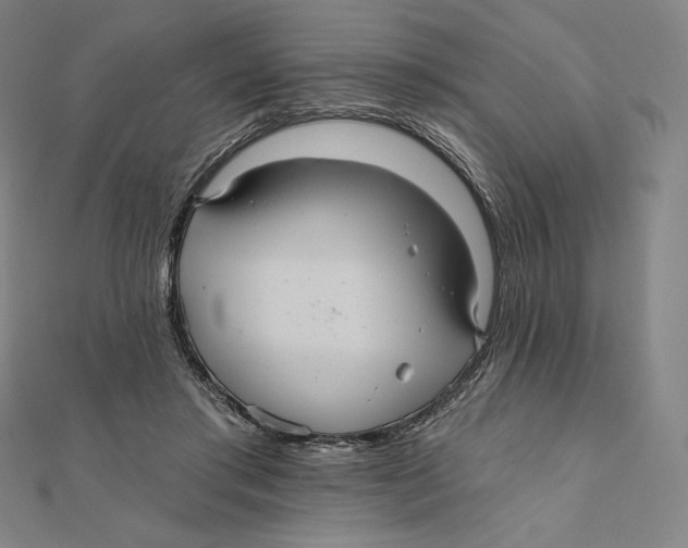 X0000112030405200908311220