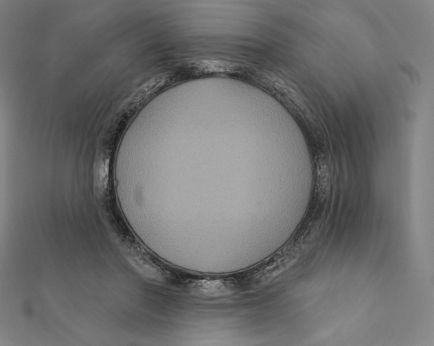 X0000112030406200908311219