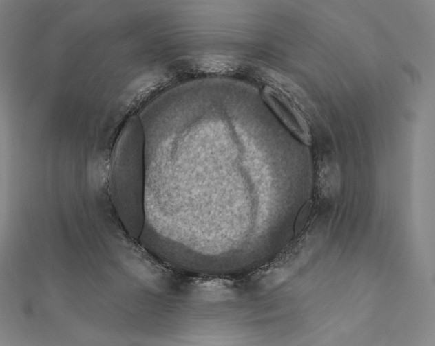 X0000112030407200908311219