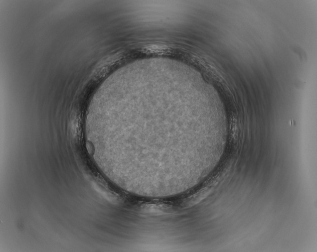 X0000112030408200908311219