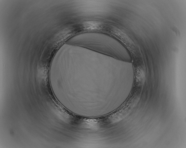 X0000112030409200908311219