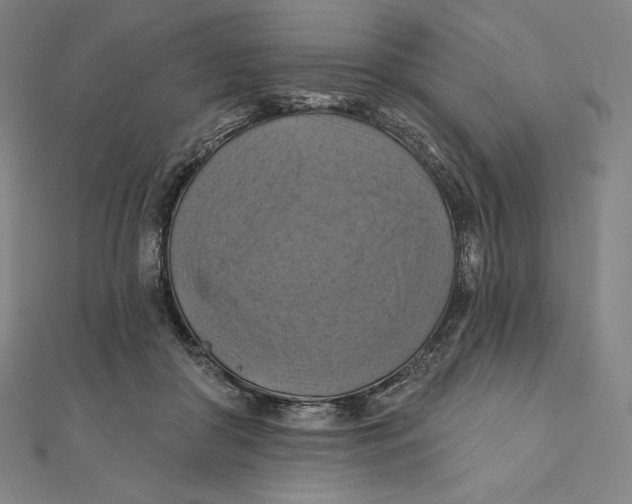 X0000112030410200908311219