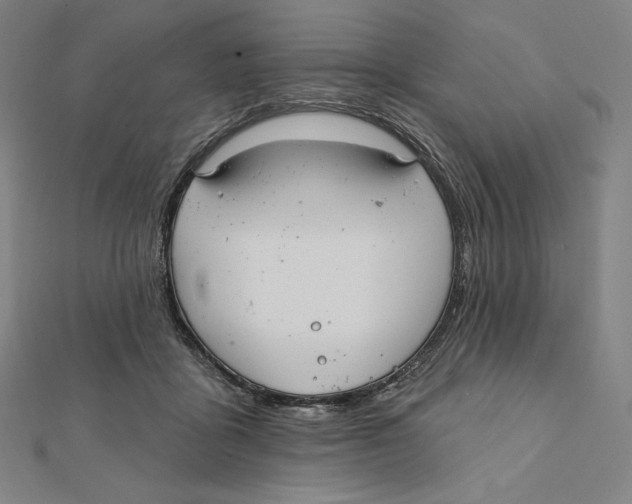 X0000112030411200908311219