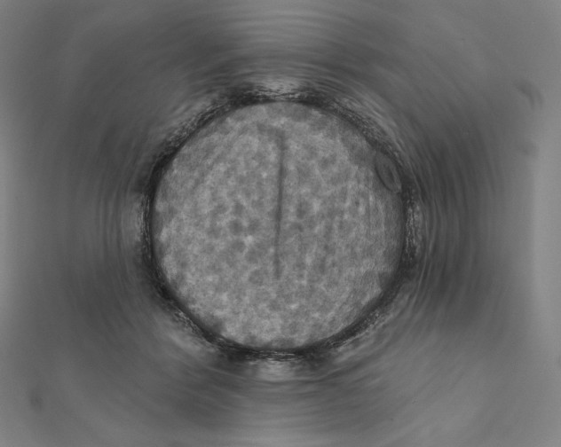 X0000112030412200908311219