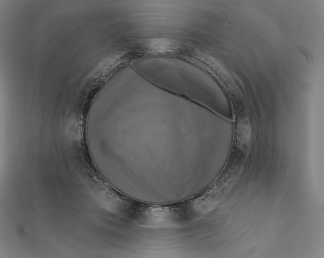 X0000112030413200908311219