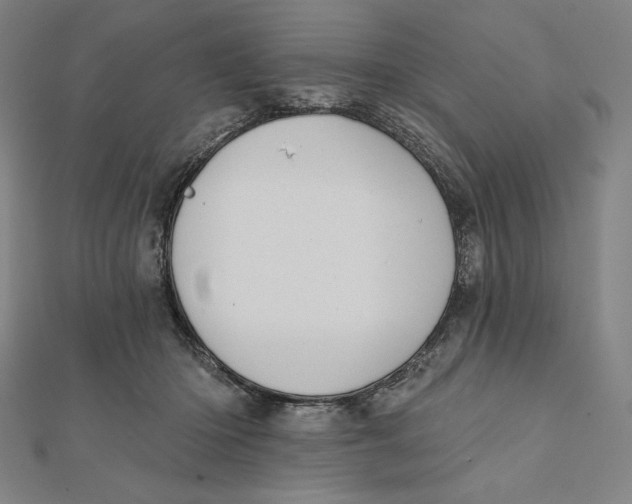 X0000112030414200908311219