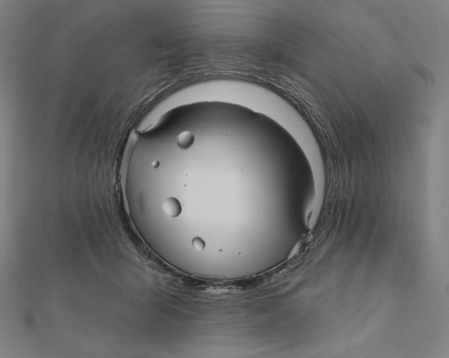 X0000112030415200908311219