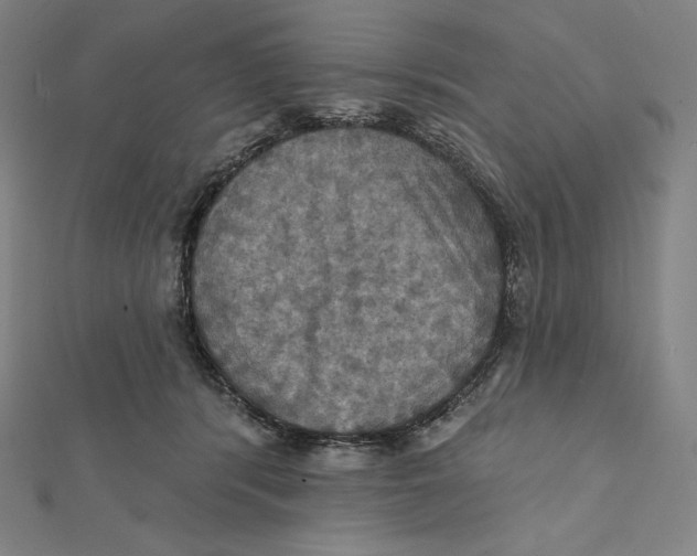 X0000112030416200908311219